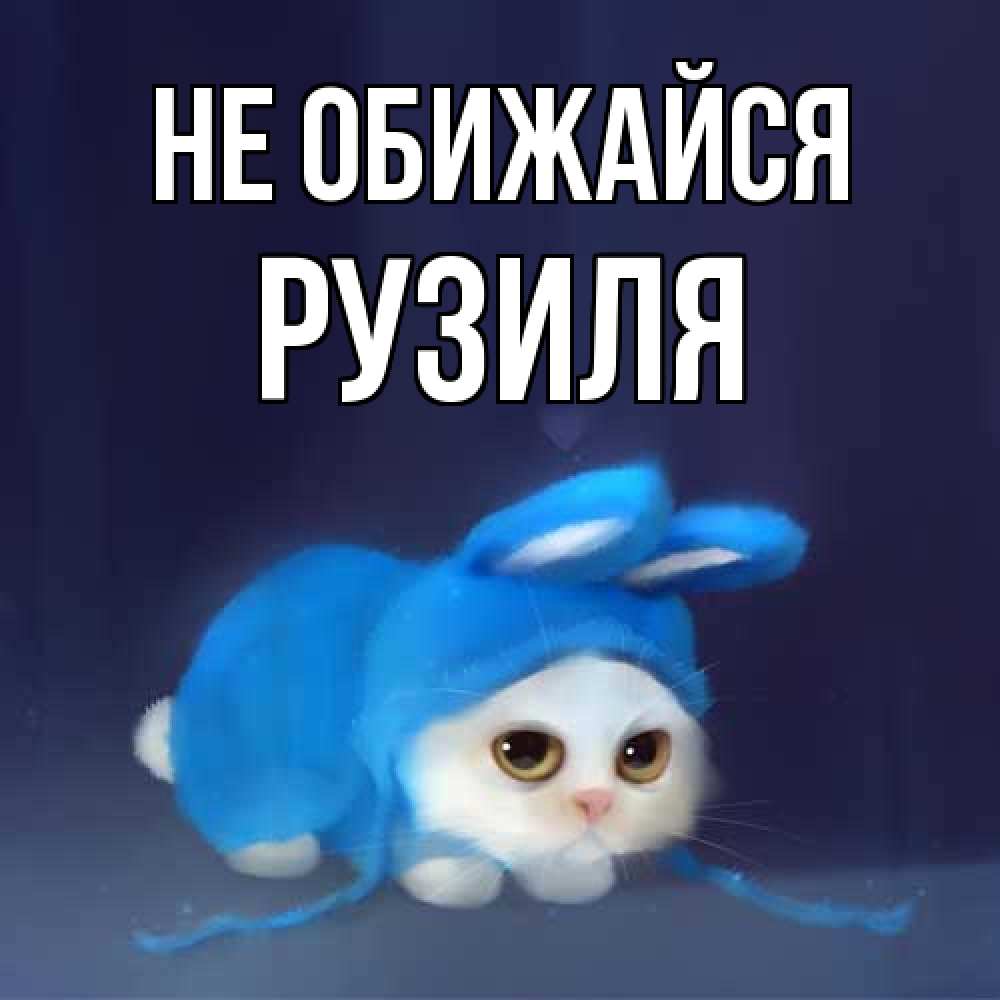 Открытка на каждый день с именем, Рузиля Не обижайся невинный котозай просит прощения Прикольная открытка с пожеланием онлайн скачать бесплатно 