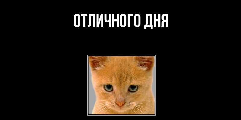 Картинка Скучашки, Ваня