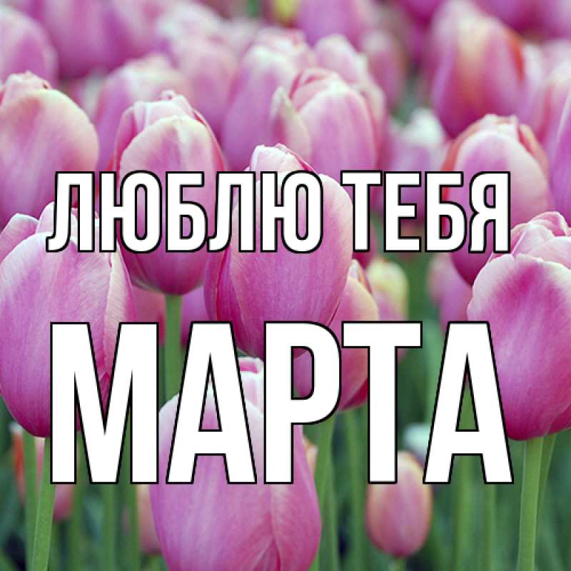 Картинка Люблю тебя, Марта