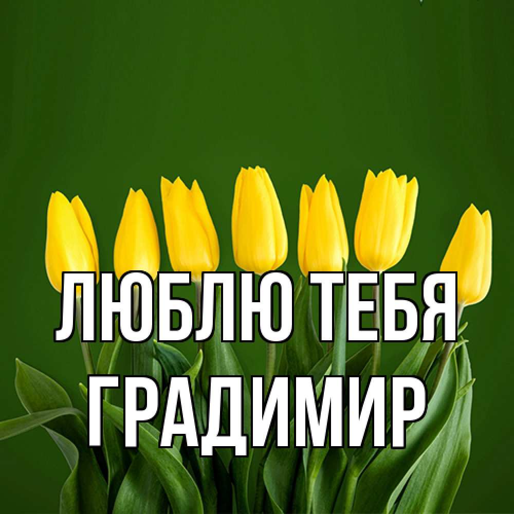 Открытка на каждый день с именем, Градимир Люблю тебя желтого цвета 3 Прикольная открытка с пожеланием онлайн скачать бесплатно 