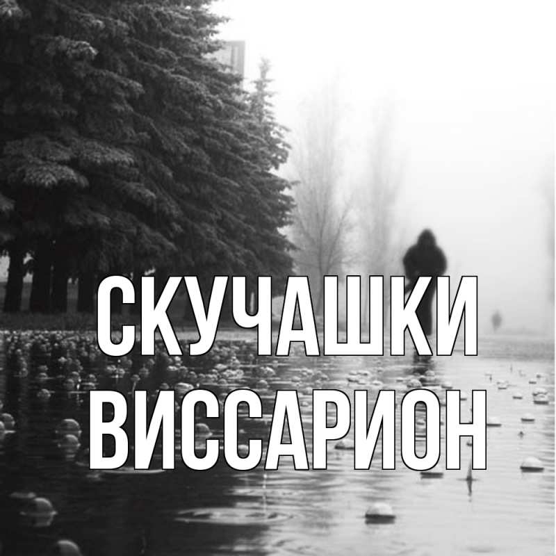 Картинка Скучашки, Виссарион