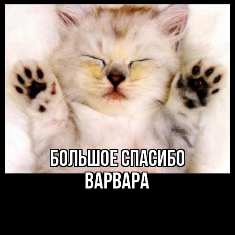 Картинка Большое спасибо, Варвара