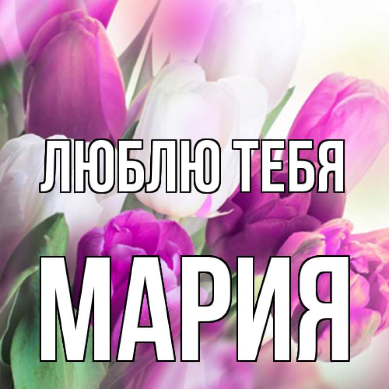 Картинка Люблю тебя, Мария