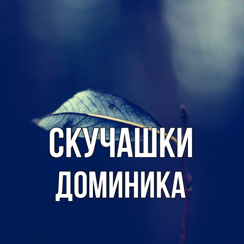 Картинка Скучашки, Доминика