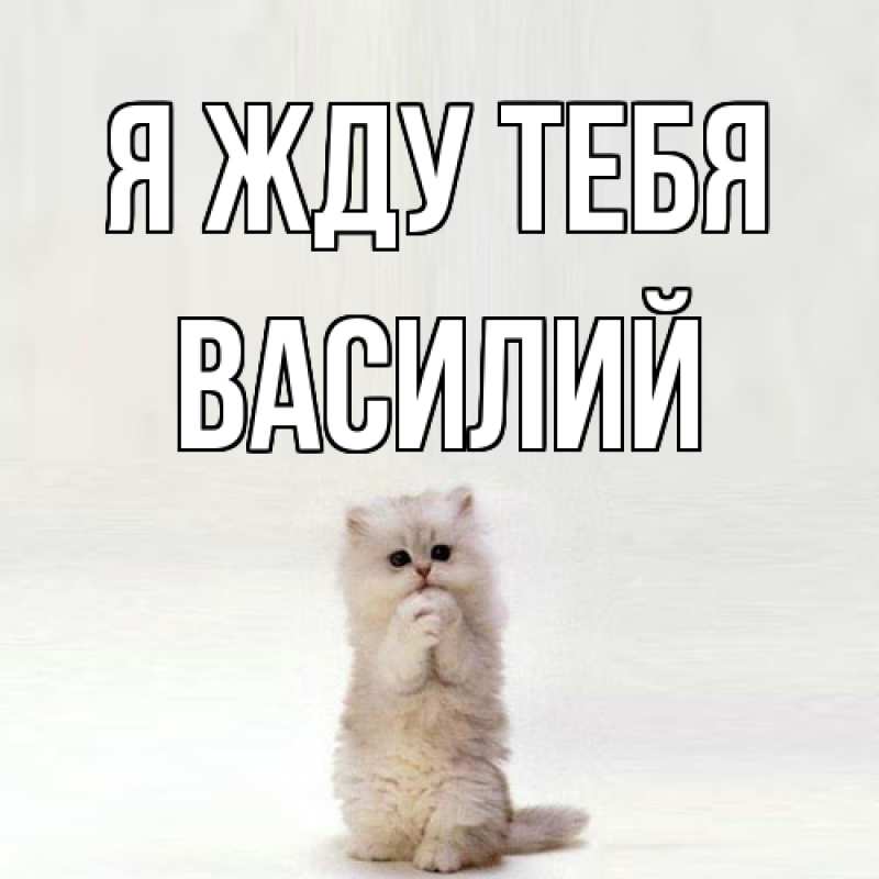 Картинка Я жду тебя, Василий