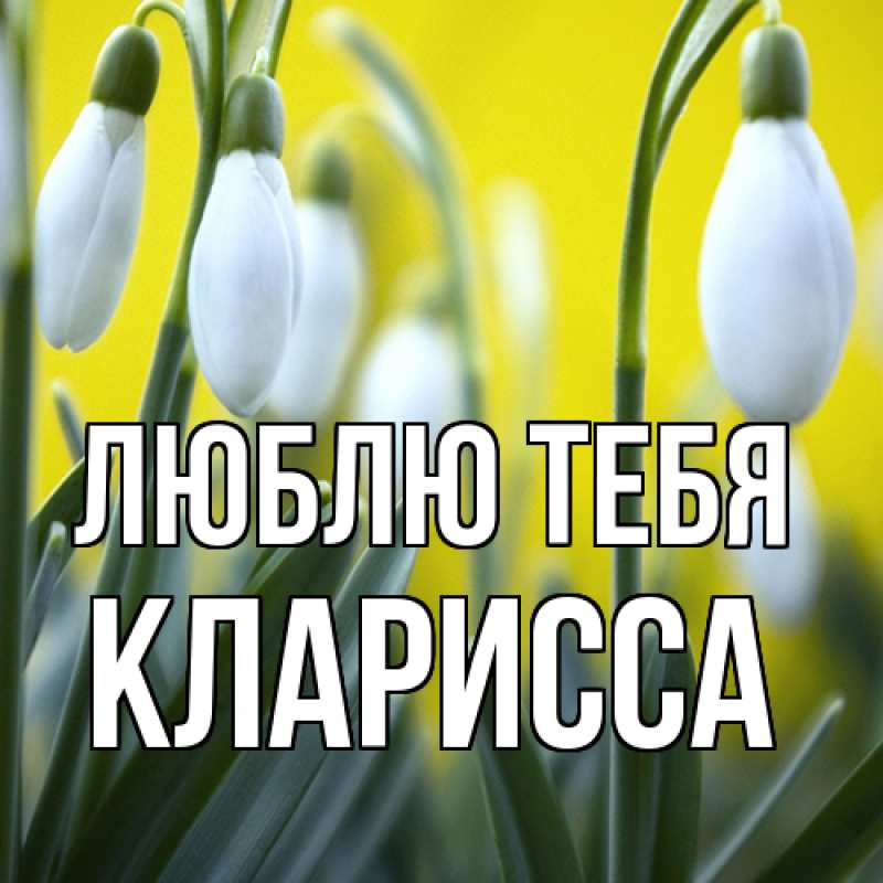 Картинка Люблю тебя, Кларисса