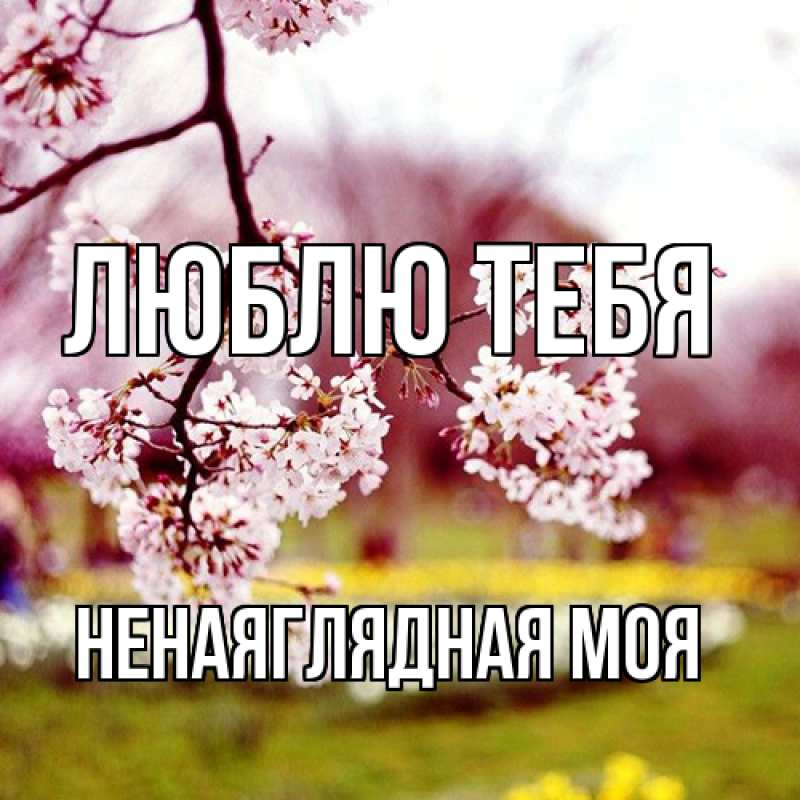 Картинка Люблю тебя, Ненаяглядная моя