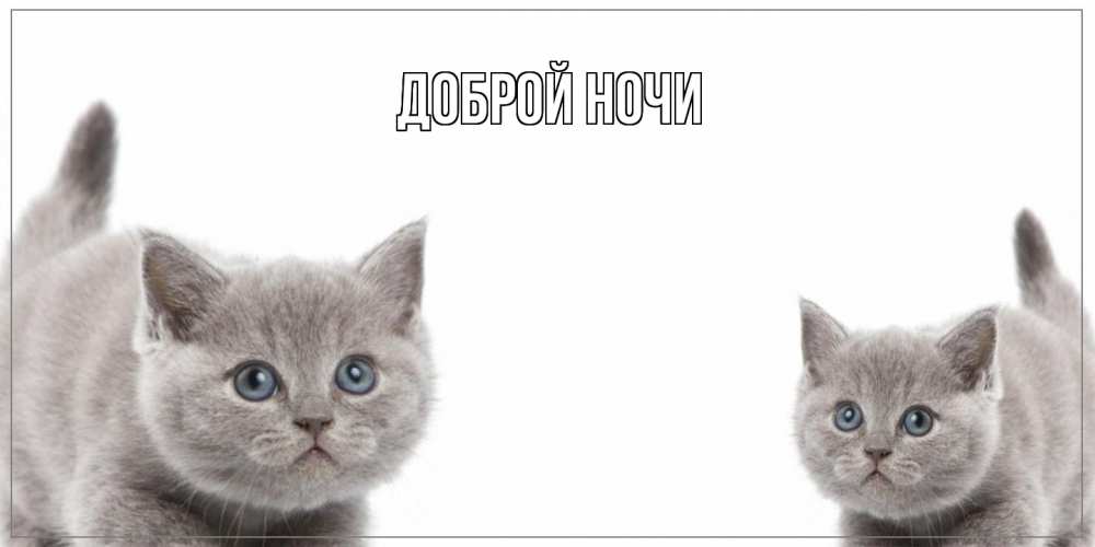 Открытка на каждый день с именем, Ян Как дела коты Прикольная открытка с пожеланием онлайн скачать бесплатно 