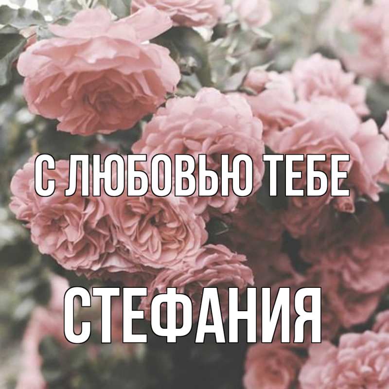 Картинка С любовью тебе, Стефания
