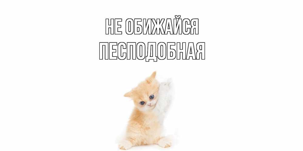 Открытка на каждый день с именем, Песподобная Не обижайся кот Прикольная открытка с пожеланием онлайн скачать бесплатно 