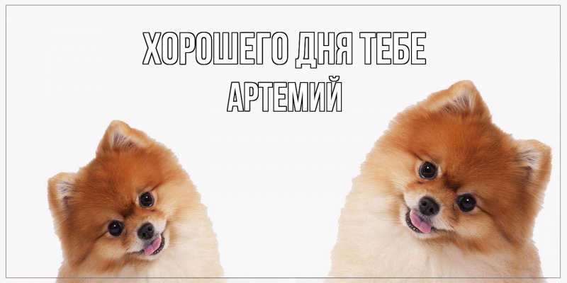 Картинка Хорошего дня тебе, Артемий