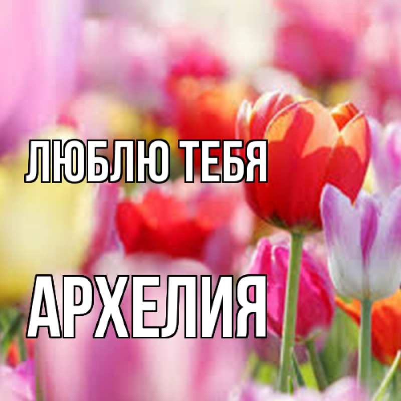 Картинка Люблю тебя, Архелия