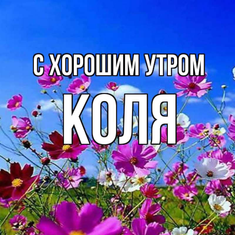 Картинка С хорошим утром, Коля