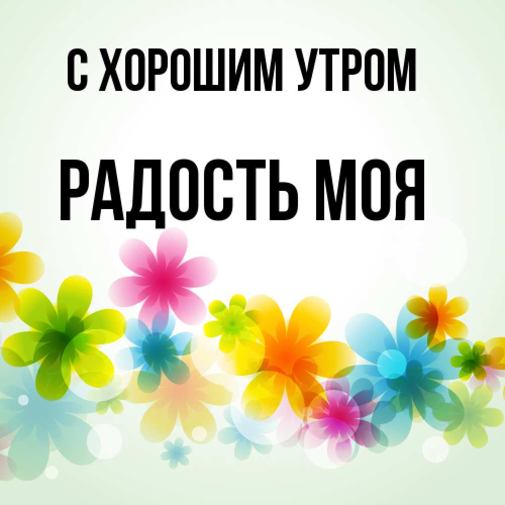 Открытка на каждый день с именем, Радость-моя С хорошим утром позитивные цветочки Прикольная открытка с пожеланием онлайн скачать бесплатно 
