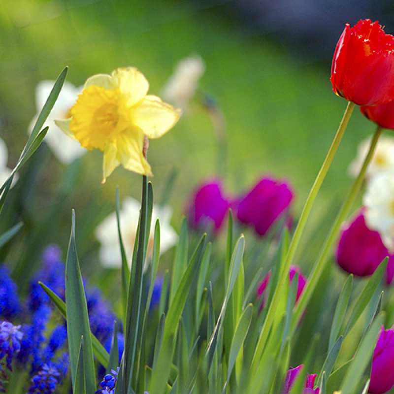 Картинка Люблю тебя, Коля