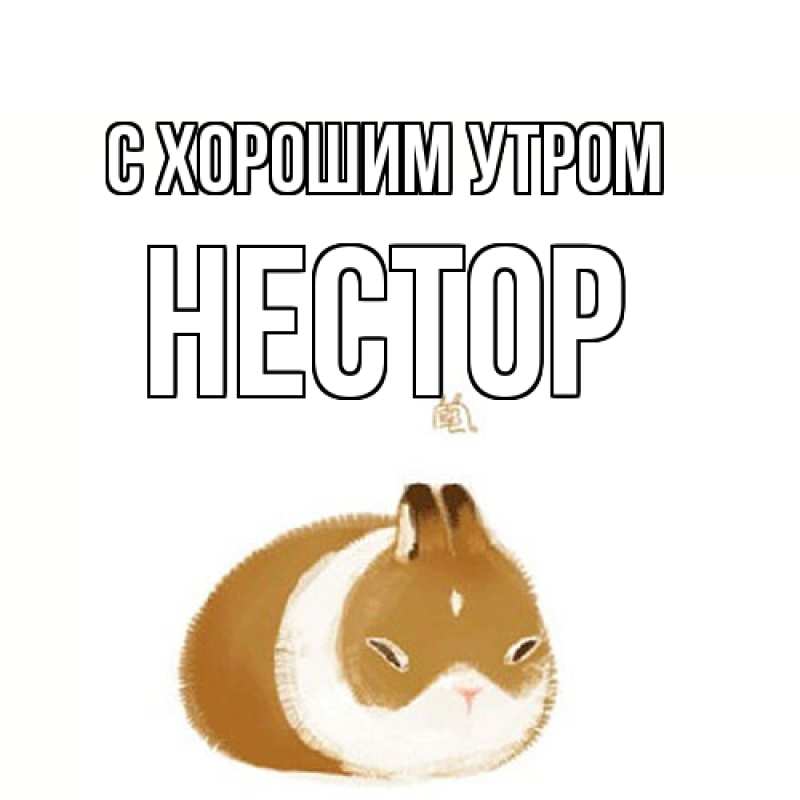 Картинка С хорошим утром, Нестор