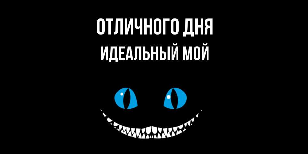 Открытка на каждый день с именем, Идеальный-мой Отличного дня кот улыбается Прикольная открытка с пожеланием онлайн скачать бесплатно 