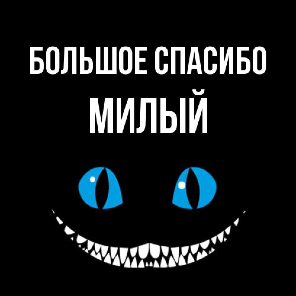 Открытка на каждый день с именем, Милый Большое спасибо благодарю от чеширика Прикольная открытка с пожеланием онлайн скачать бесплатно 