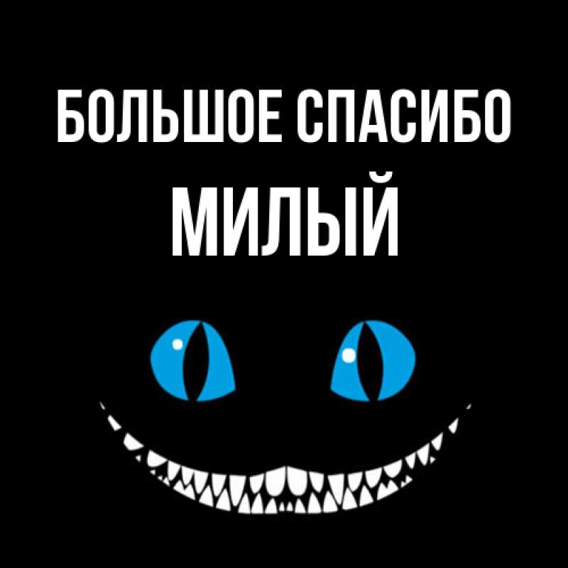 Картинка Большое спасибо, Милый