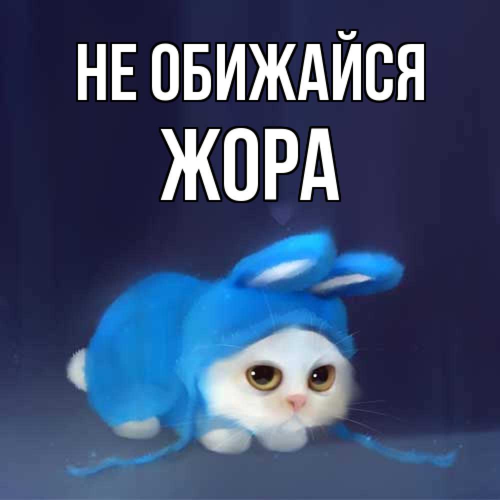 Открытка на каждый день с именем, Жора Не обижайся невинный котозай просит прощения Прикольная открытка с пожеланием онлайн скачать бесплатно 