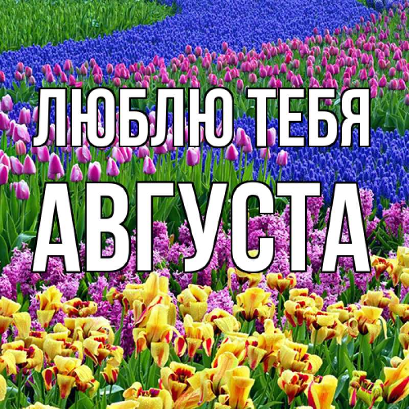 Картинка Люблю тебя, Августа
