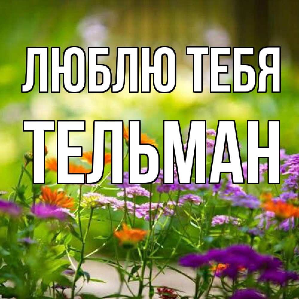 Открытка на каждый день с именем, Тельман Люблю тебя цветы Прикольная открытка с пожеланием онлайн скачать бесплатно 