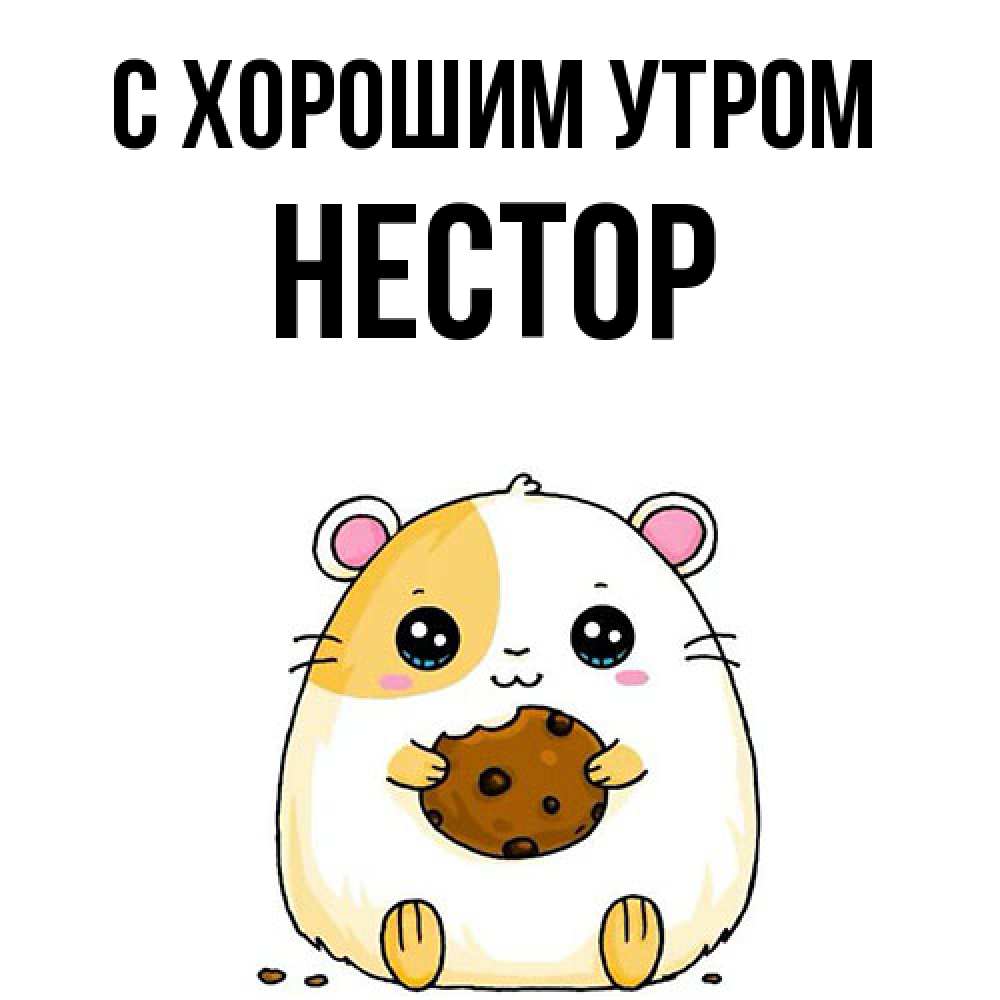 Открытка на каждый день с именем, Нестор С хорошим утром есть печеньку. Утречко Прикольная открытка с пожеланием онлайн скачать бесплатно 