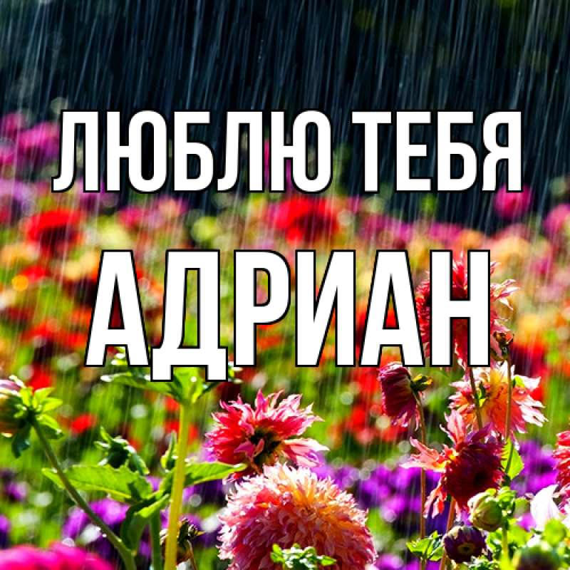 Открытка с именем, Адриан, Люблю тебя