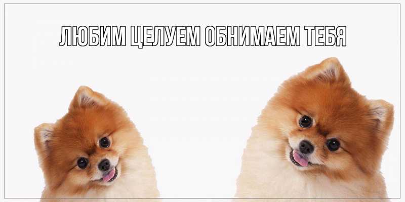 Картинка Хорошего дня тебе, Вениамин