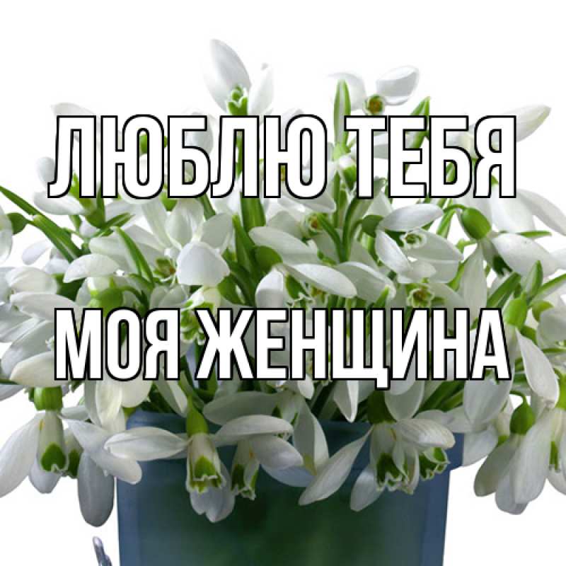 Картинка Люблю тебя, Моя женщина