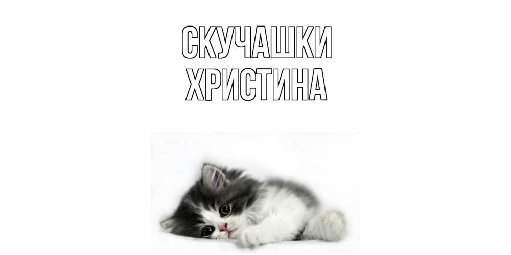 Открытка на каждый день с именем, Христина Скучашки кот, скука Прикольная открытка с пожеланием онлайн скачать бесплатно 