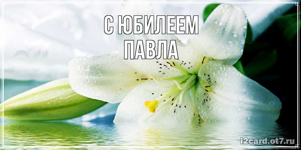 Открытка на каждый день с именем, Павла C юбилеем лилия на открытке ко дню рождения Прикольная открытка с пожеланием онлайн скачать бесплатно 
