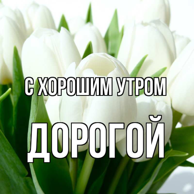 Картинка С хорошим утром, Дорогой