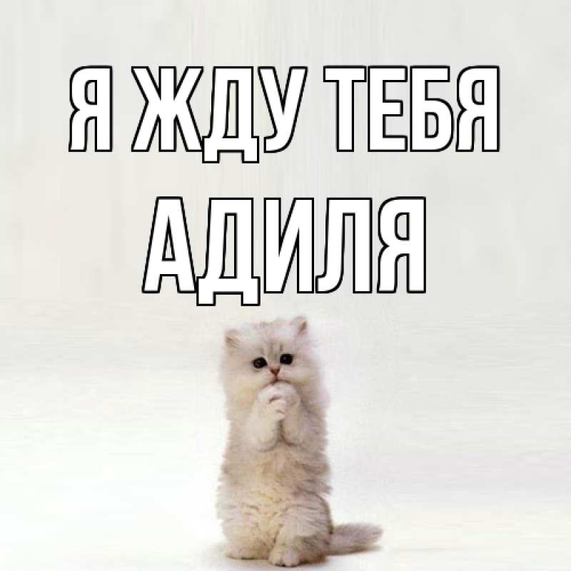 Картинка Я жду тебя, Адиля