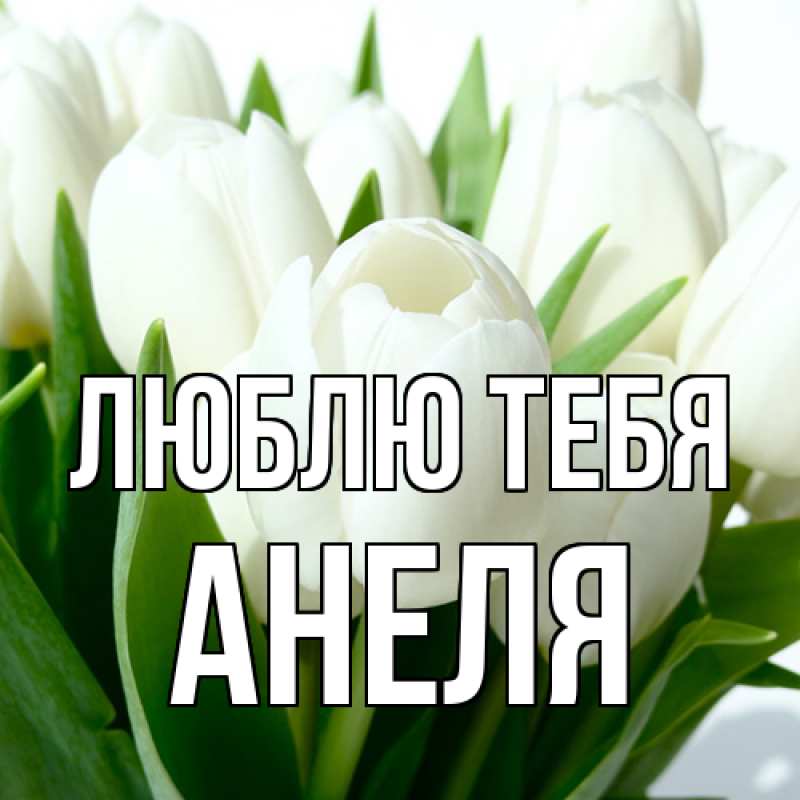 Картинка Люблю тебя, Анеля