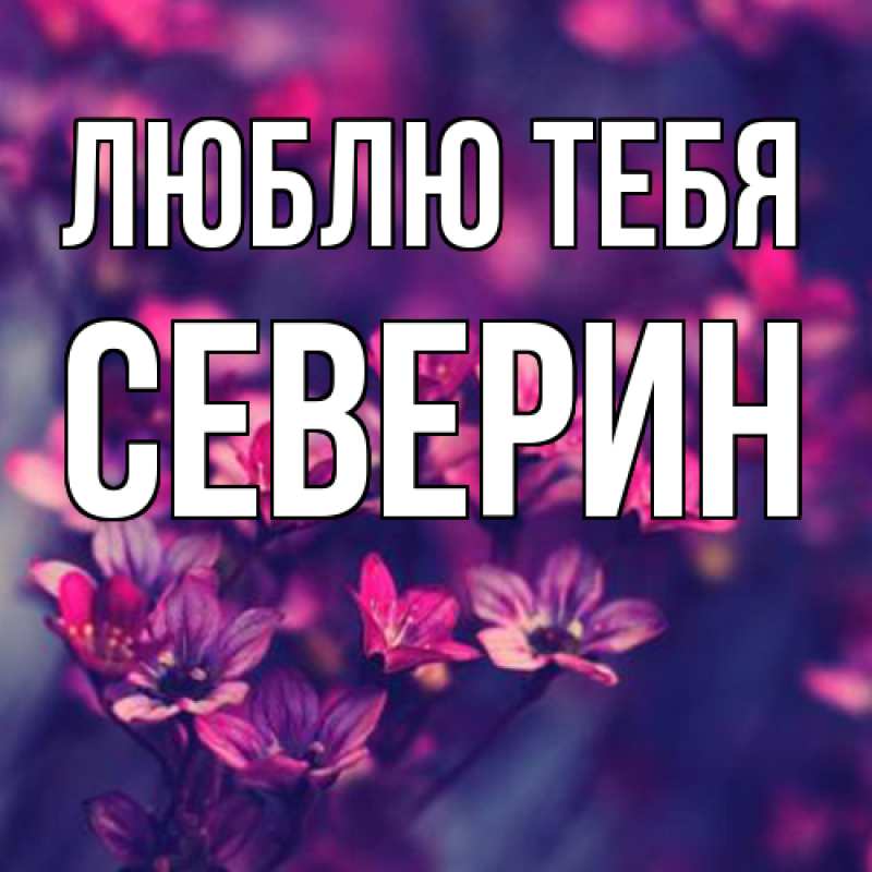 Картинка Люблю тебя, Северин