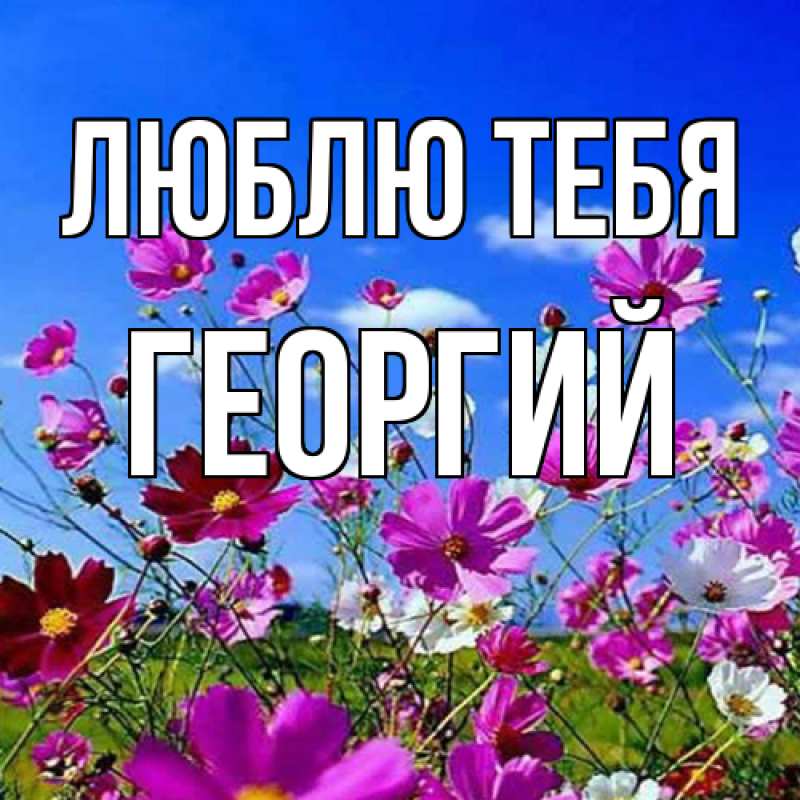 Картинка Люблю тебя, Георгий
