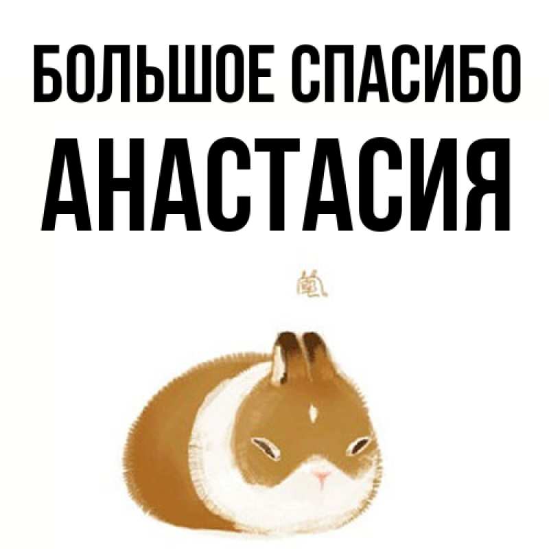 Картинка Большое спасибо, Анастасия