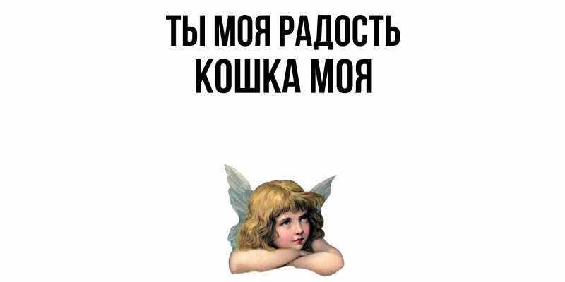 Картинка Ты моя радость, Кошка моя