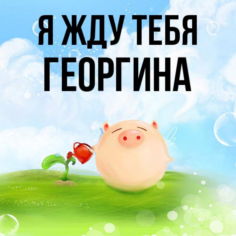 Картинка Я жду тебя, Георгина