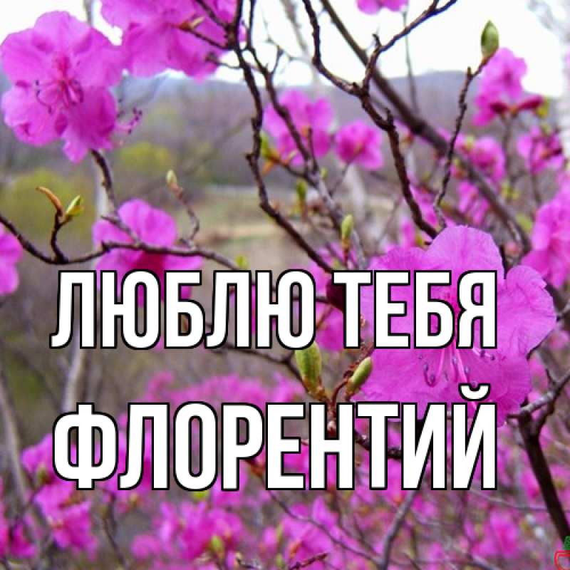 Открытка с именем, Флорентий, Люблю тебя