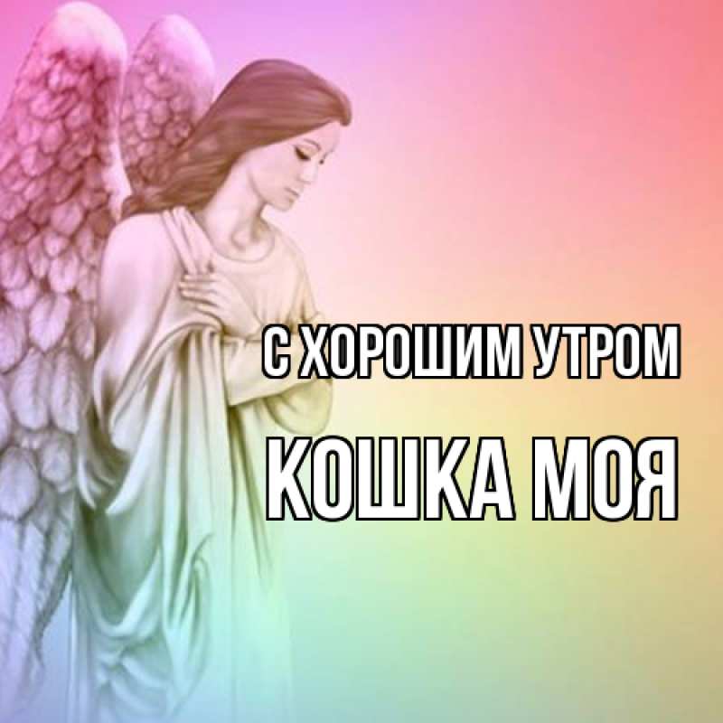 Картинка С хорошим утром, Кошка моя