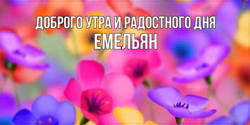 Открытка с именем, Емельян, Доброго утра и радостного дня