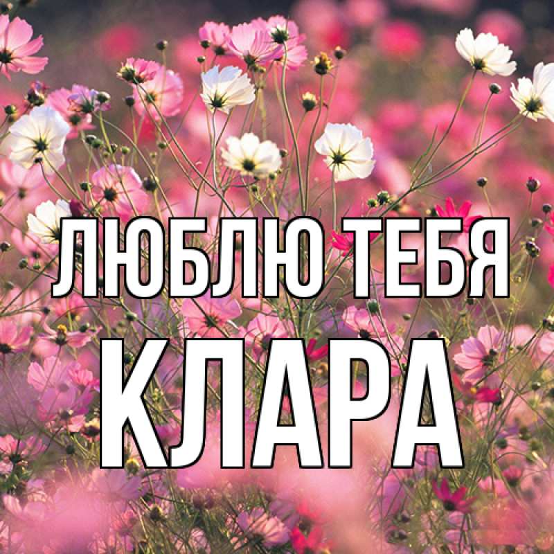 Картинка Люблю тебя, Клара