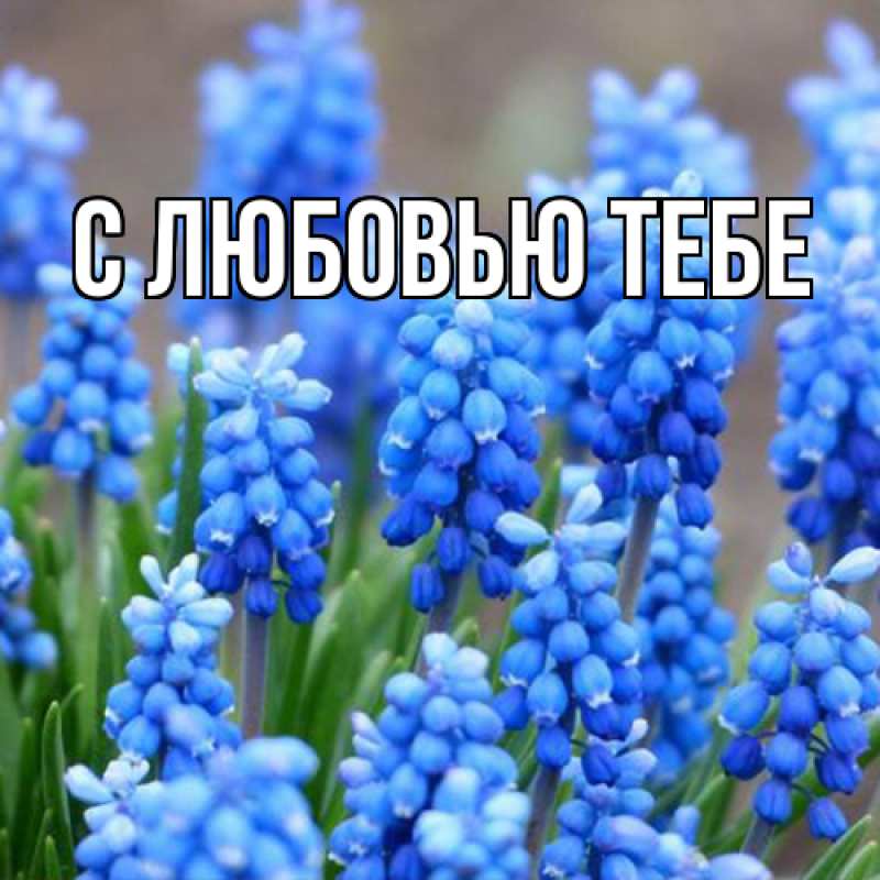 Картинка Люблю тебя, Май