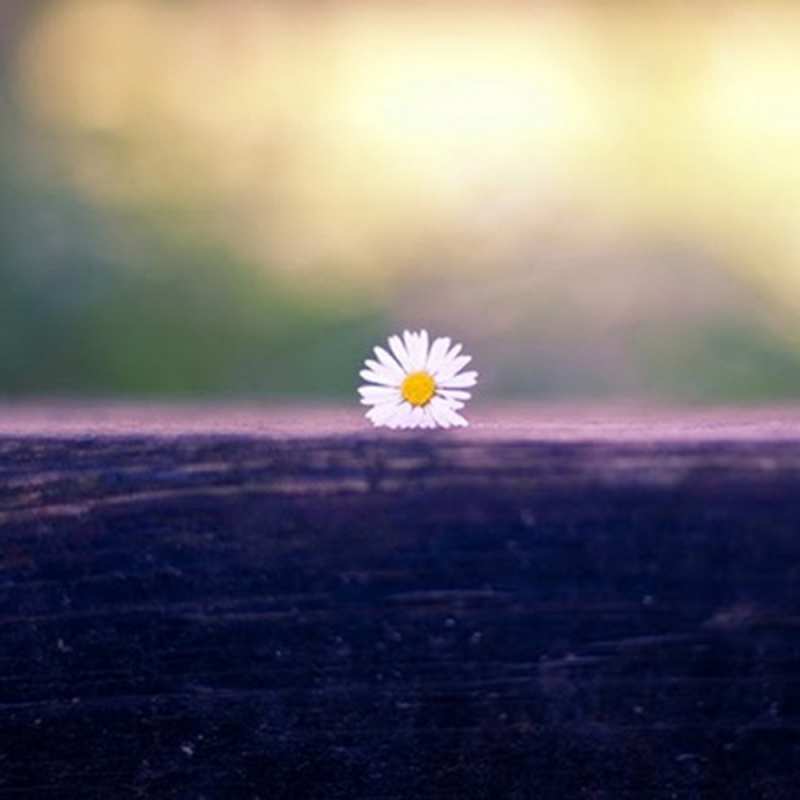 Картинка Не грусти, все будет хорошо, 