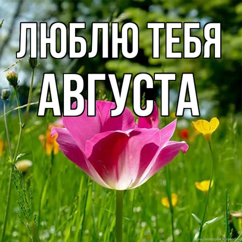 Картинка Люблю тебя, Августа