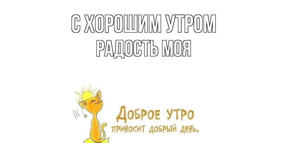 Открытка на каждый день с именем, Радость-моя С хорошим утром кот, солнце Прикольная открытка с пожеланием онлайн скачать бесплатно 