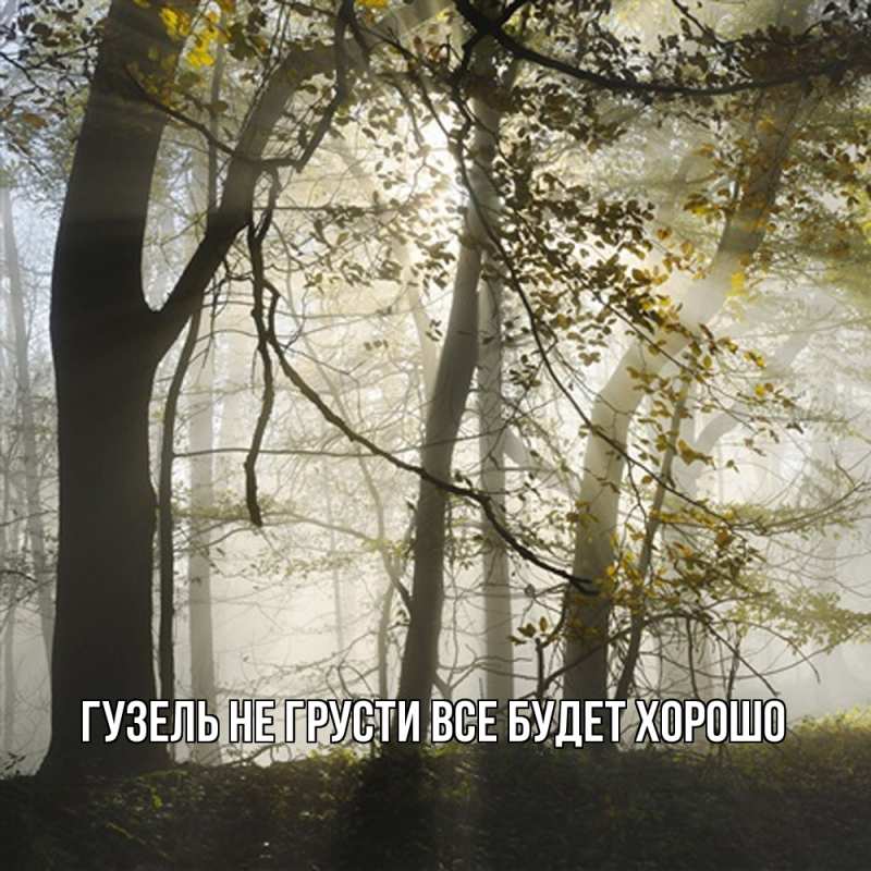 Картинка Не грусти, все будет хорошо, Гузель