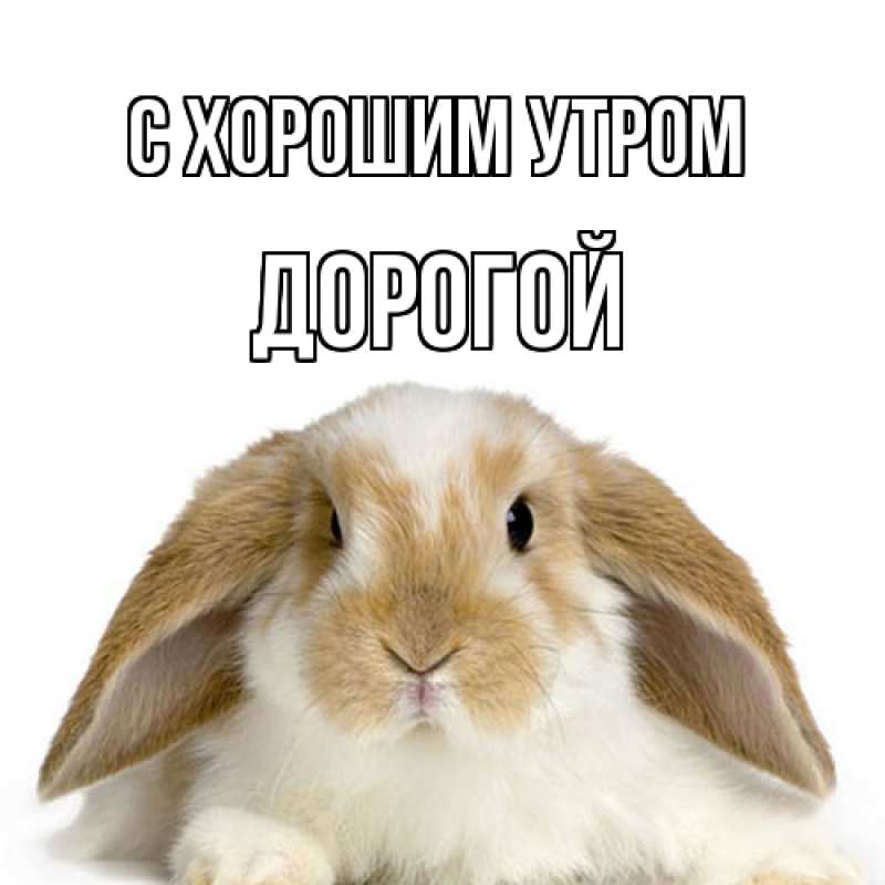 Картинка С хорошим утром, Дорогой